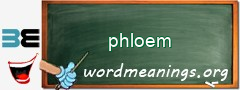 WordMeaning blackboard for phloem